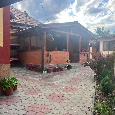 Hotel Casa Flori Călimăneşti Esterno foto